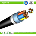 Cables de alimentación de baja tensión el Conductor de cobre de 10 m 2 XLPE